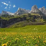 Отель Le Bristol Лойкербад