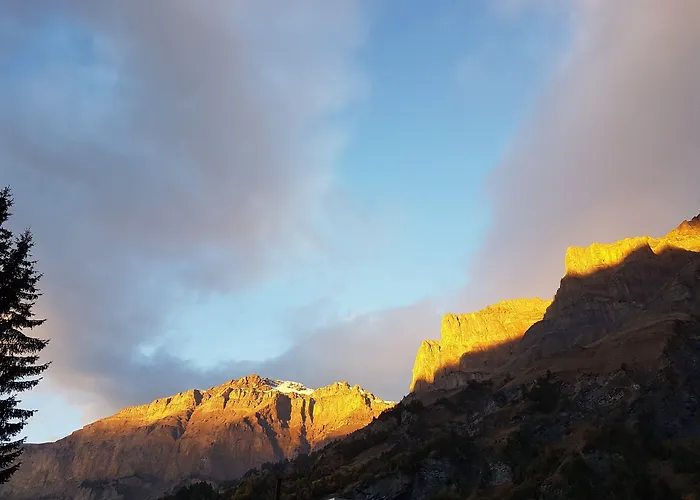 Le Bristol 4* לויקרבאד