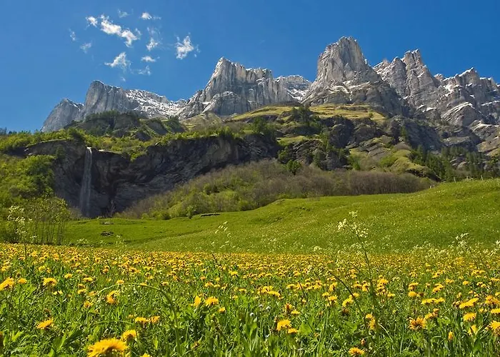 מלון Le Bristol לויקרבאד